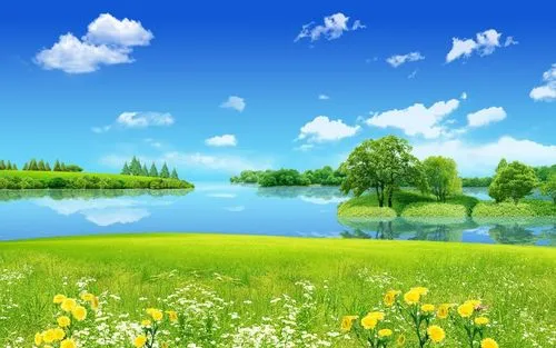 全自动高端节能